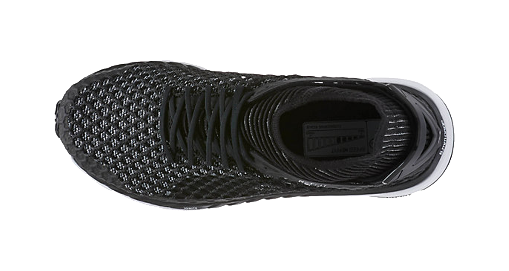 speed ignite netfit 2