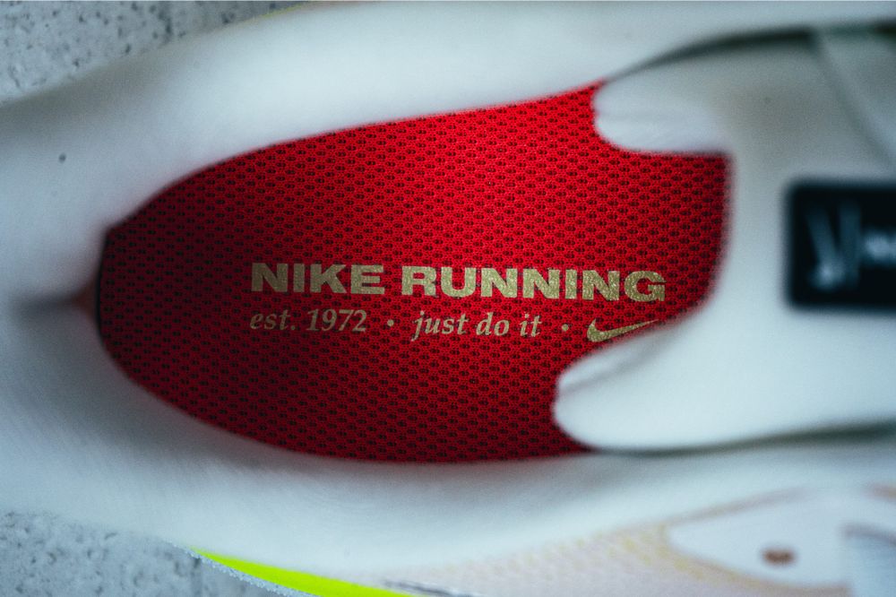 nike pegasus 41 - insole