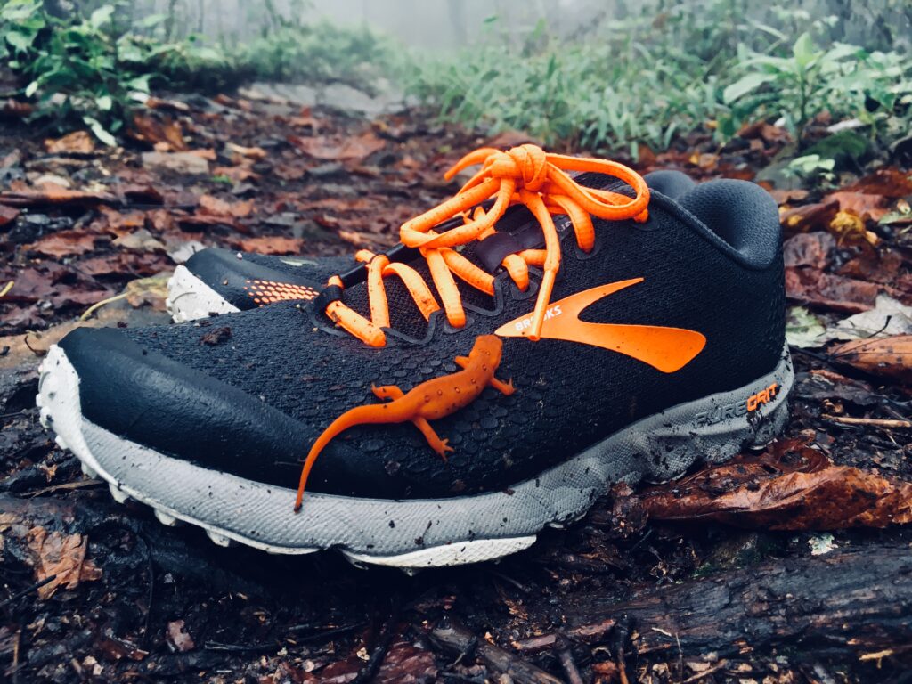 brooks puregrit 2 orange