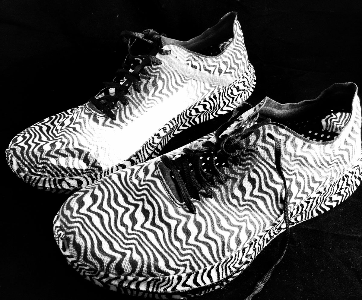 skechers zebra