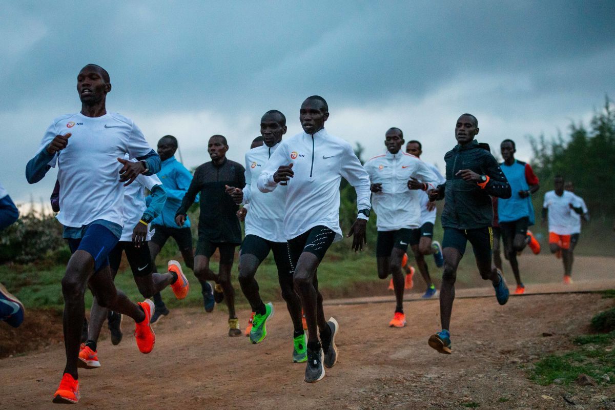 download kipchoge vo2max download kipchoge vo2max