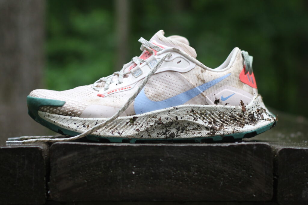 wildhorse 7 vs pegasus trail 3