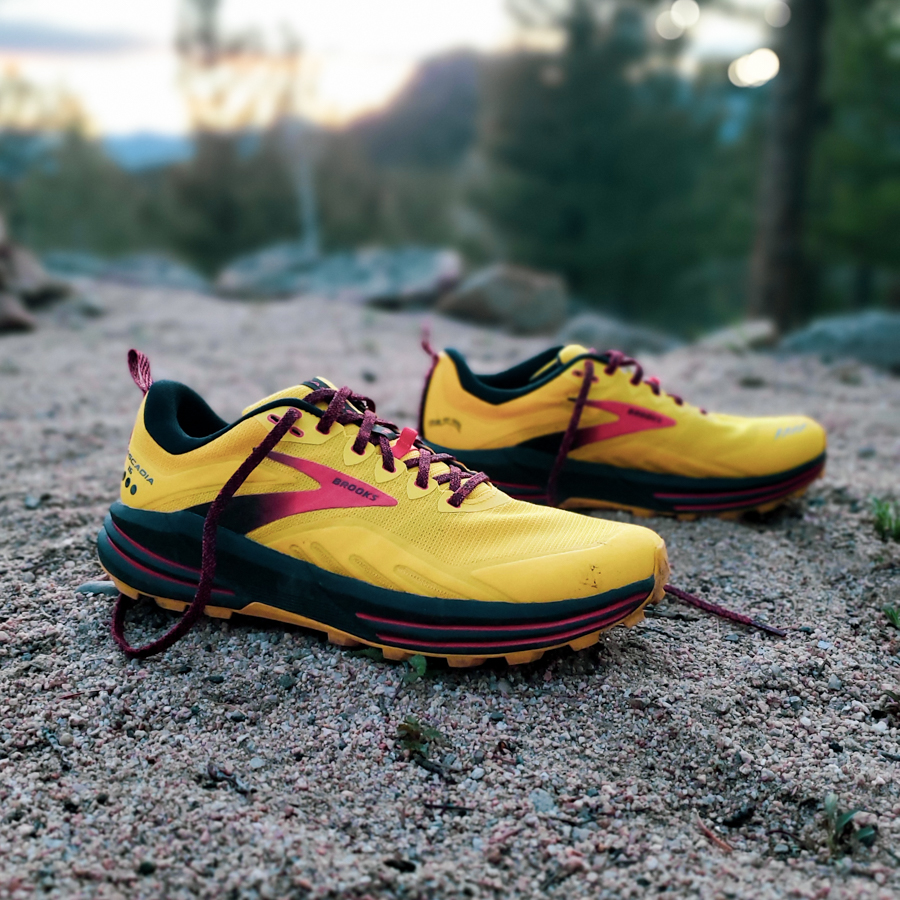 brooks cascadia