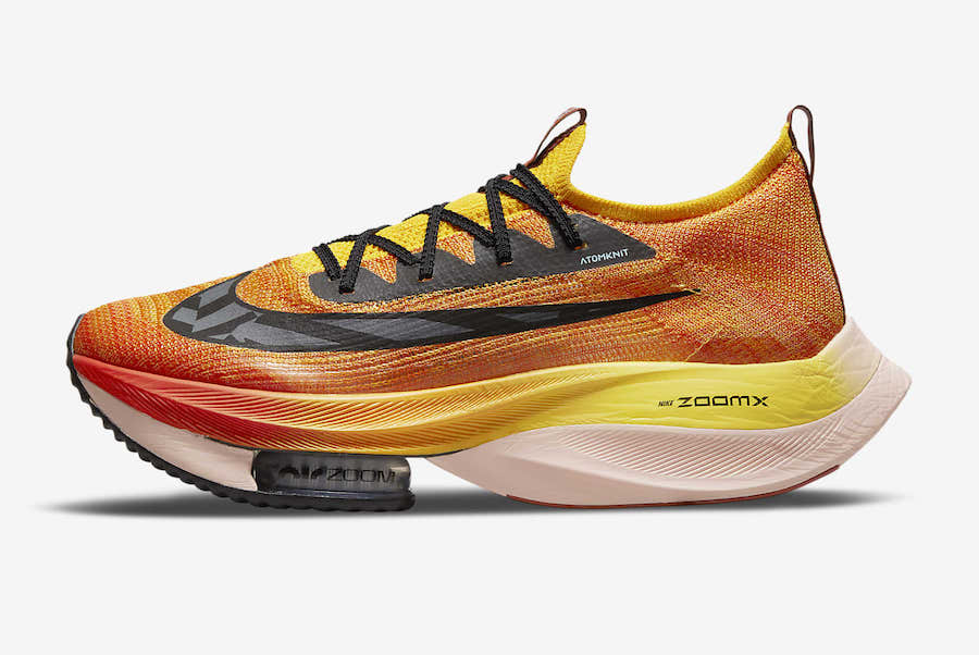 zoom fly pegasus